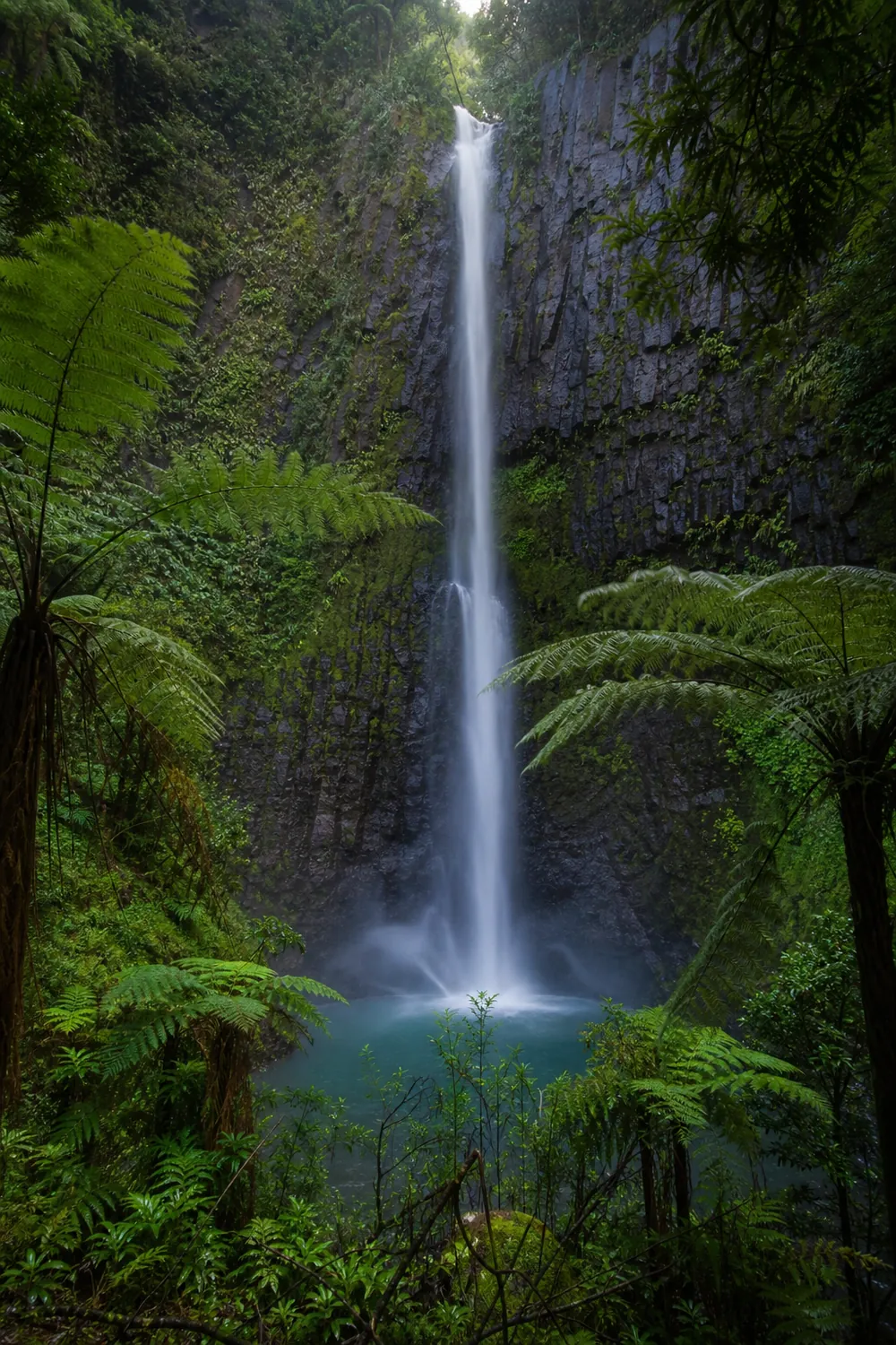 Bridal Veil Falls dropping in a single ribbon down a dark cliff into a forest plunge pool